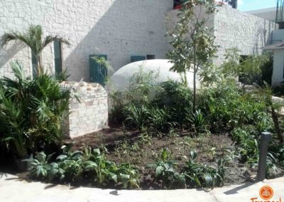 Construcción de temazcal 8078